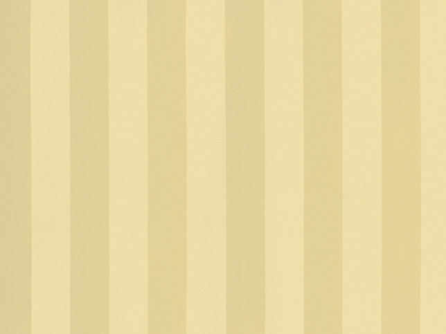 Solice Stripe Fabric by Zimmer & Rohde 