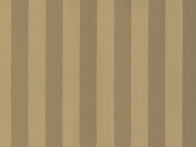 Solice Stripe Fabric by Zimmer & Rohde 