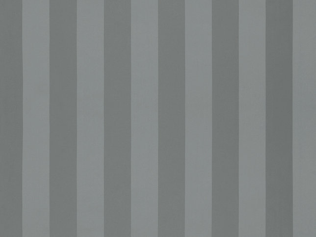 Solice Stripe Fabric by Zimmer & Rohde 
