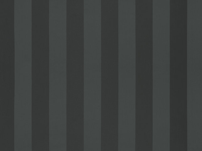 Solice Stripe Fabric by Zimmer & Rohde 