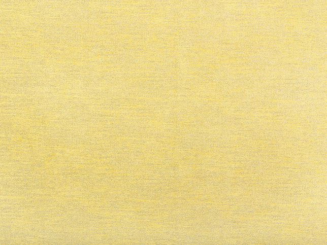 Tinto Fabric by Zimmer & Rohde 