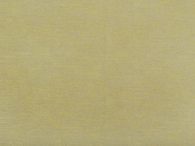 Tinto Fabric by Zimmer & Rohde 