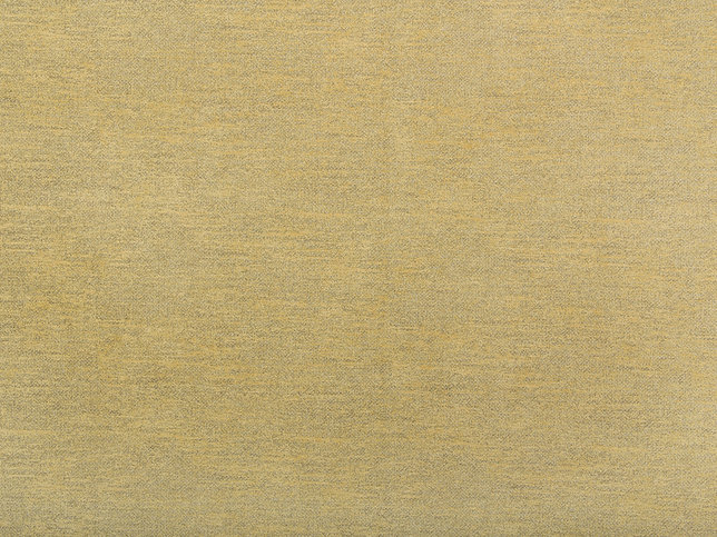 Tinto Fabric by Zimmer & Rohde 