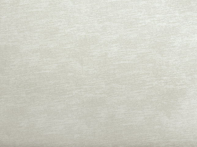 Tinto Fabric by Zimmer & Rohde 