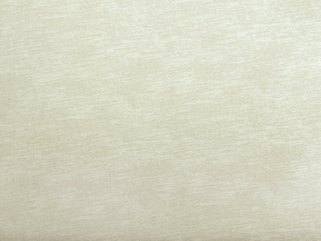 Tinto Fabric by Zimmer & Rohde 