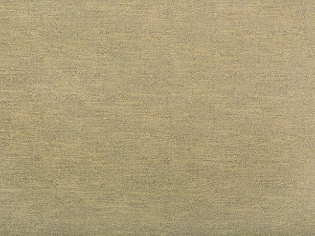Tinto Fabric by Zimmer & Rohde 