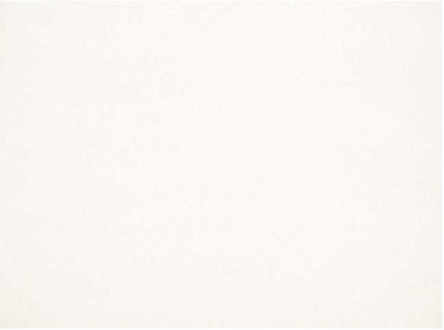 Bagheera Moonbeam Fabric By Zinc Textile