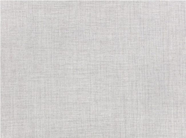 Cosmic Platinum By Zinc Textile
