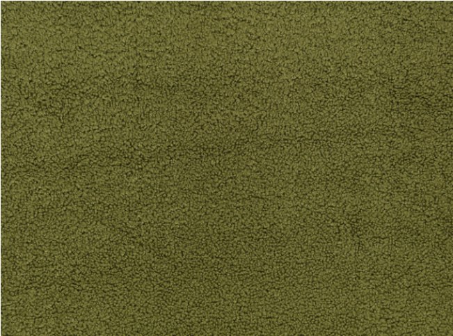 Drake Colibri Fabric By Zinc Textile