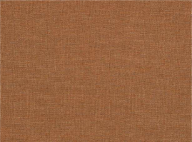 Jamawar Turmeric By Zinc Textile