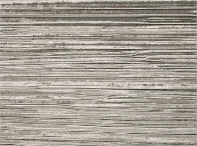 Penthouse Platinum By Zinc Textile