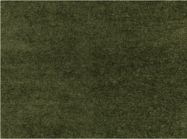 Solenzara Racing Fabric By Zinc Textile