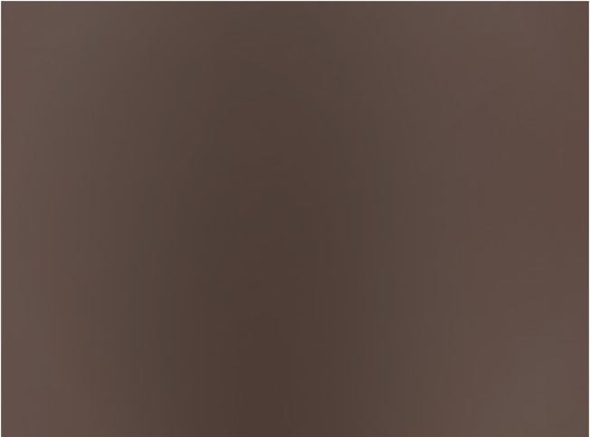 Stevie Leather Espresso By Zinc Textile