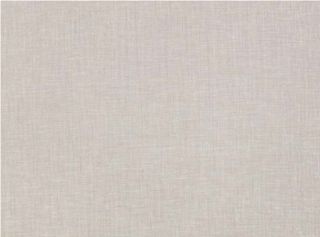 Tussora Mist By Zinc Textile