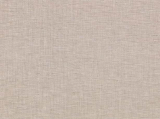 Tussora Spacedust By Zinc Textile
