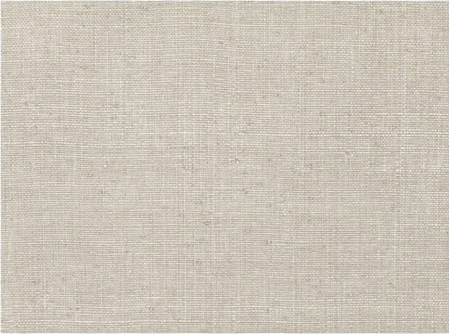 Edenite Patina Wallcovering by Zinc Textile 