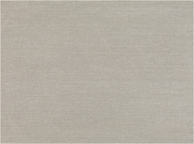 Jurbanite Patina Wallcovering by Zinc Textile 