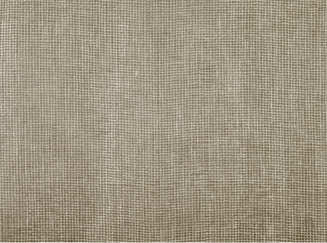 Zinc Textile Sirocco Orient Fabric