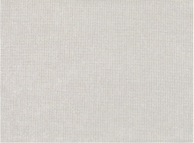 Tantalum Moonbeam Wallcovering by Zinc Textile 