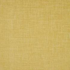 Albany Chartreuse Fabric by Clarke & Clarke 