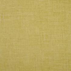 Albany Citron Fabric by Clarke & Clarke 