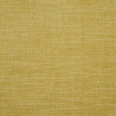 Moray Citron Fabric by Clarke & Clarke 
