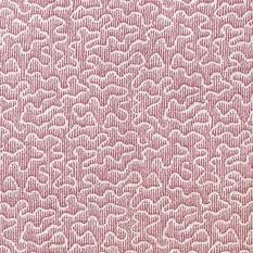 Pollen Pink Fabric by Andrew Martin 