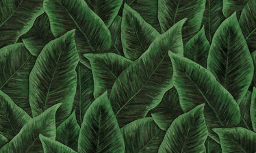 Bird of paradise by Arte 