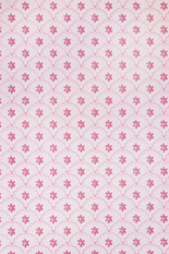 Red/Pink Daisy Scallops Wallpaper by Barneby Gates