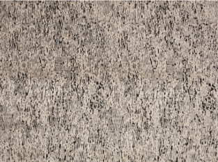 Ashi Avocet Fabric by Black Edition