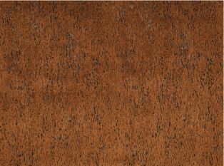 Ashi Copper Fabric by Black Edition