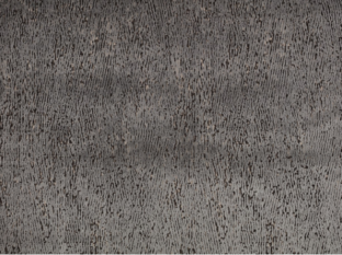 Ashi Eucalyptus Fabric by Black Edition