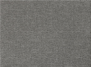 Black Edition Chana Eucalyptus Fabric