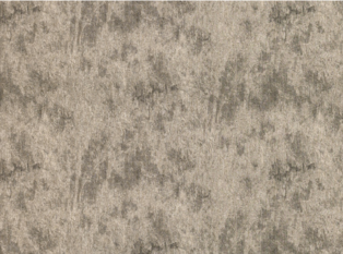 Black Edition Hinoki Patina Fabric