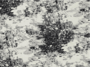 Black Edition Mitoku Avocet Fabric