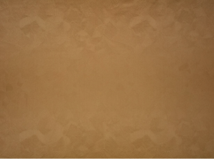 Boa Cumin Fabric by Black Edition
