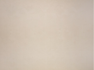 Boa Pampas Fabric by Black Edition