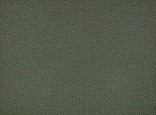 Eris Jadeite Fabric by Black Edition