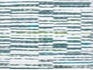 Marazzi Wallcovering Peacock by Black Edition 