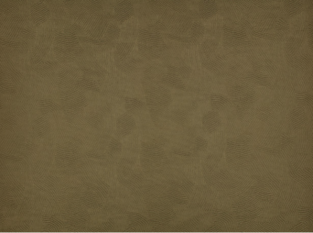 Oriku Wakame Fabric by Black Edition