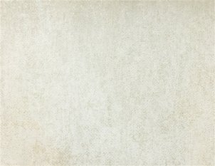 Borneo Wallpaper by Omexco