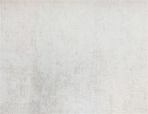 Borneo Wallpaper by Omexco