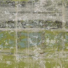 Lupuna Moss Green Fabric by Casamance