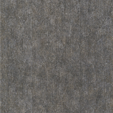 Isabelline Noir Wallcovering by Casamance