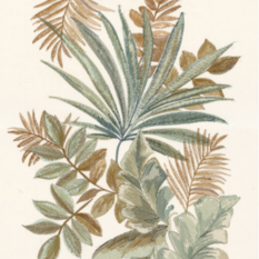 Jardin Ephemere Mordore/Celadon Wallcovering by Casamance