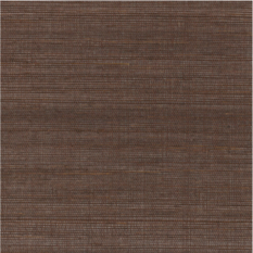 Pencil Noir/Grenat Wallcovering by Casamance