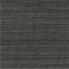 Pencil Noir/Acier Wallcovering by Casamance