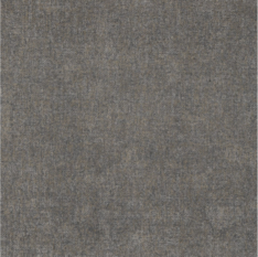 Tenere Acier Wallcovering by Casamance