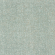Tenere Celadon Wallcovering by Casamance
