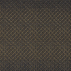 Wagara Anthracite/Dore Wallcovering by Casamance